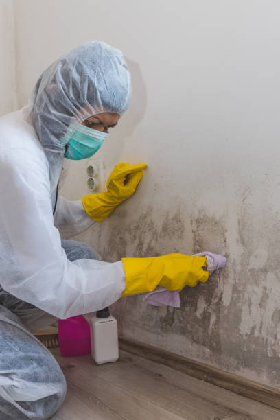 Best Mold Removal for HVAC Installations  in Tunica Resorts, MS