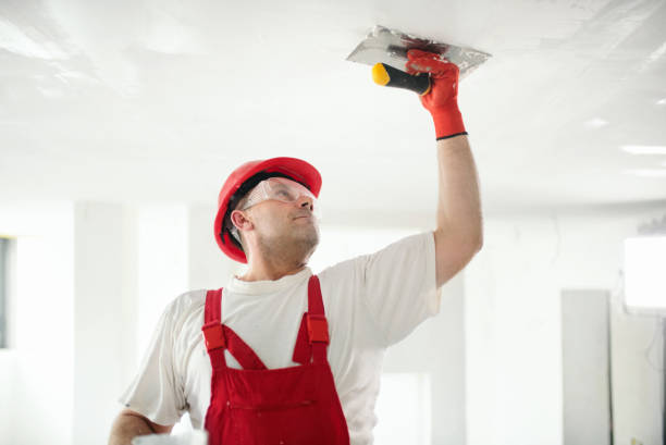 Best Crawl Space Mold Remediation  in Tunica Resorts, MS