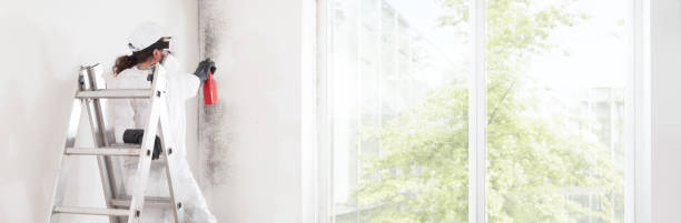 Best Dehumidification Services  in Tunica Resorts, MS